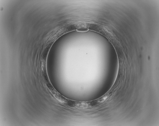 X0000059250125200511041344