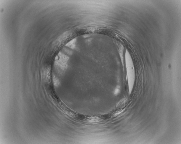 X0000059250127200511041344