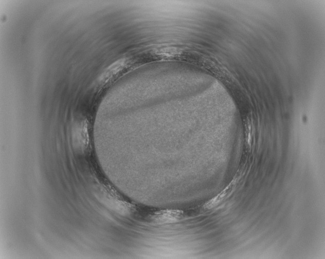 X0000059250128200511041344