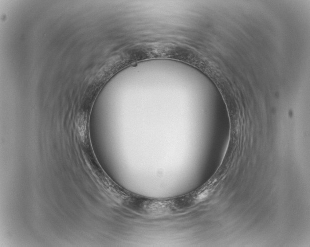 X0000059250129200511041344