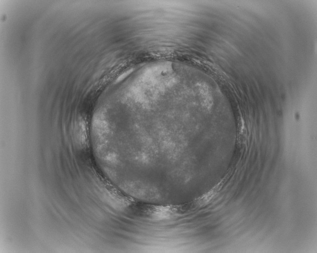 X0000059250130200511041344