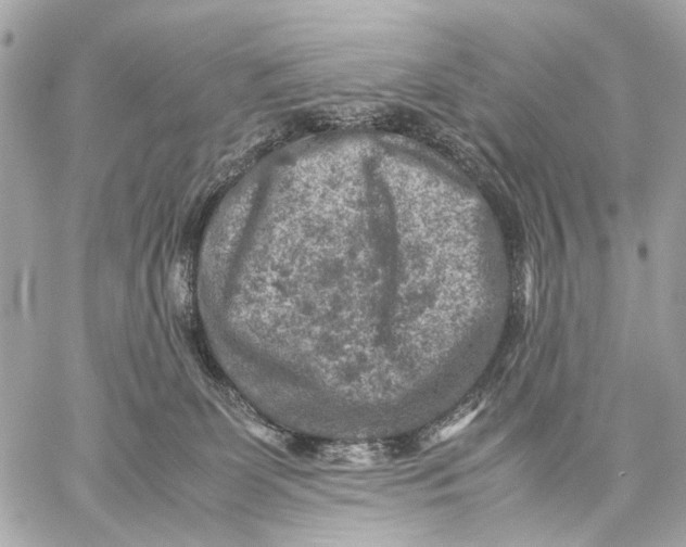 X0000059250131200511041344