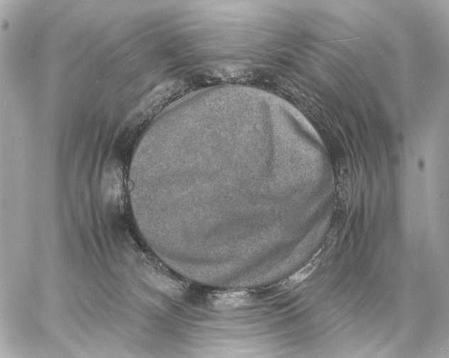 X0000059250132200511041344