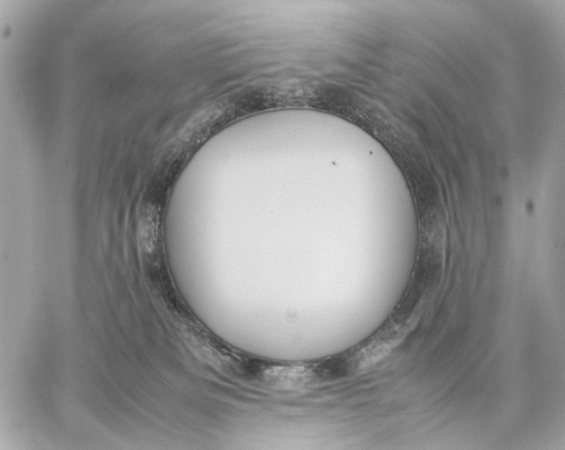 X0000059250133200511041344