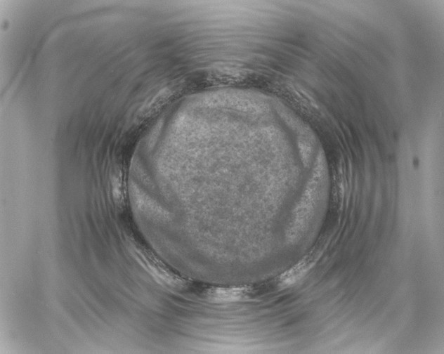 X0000059250134200511041343