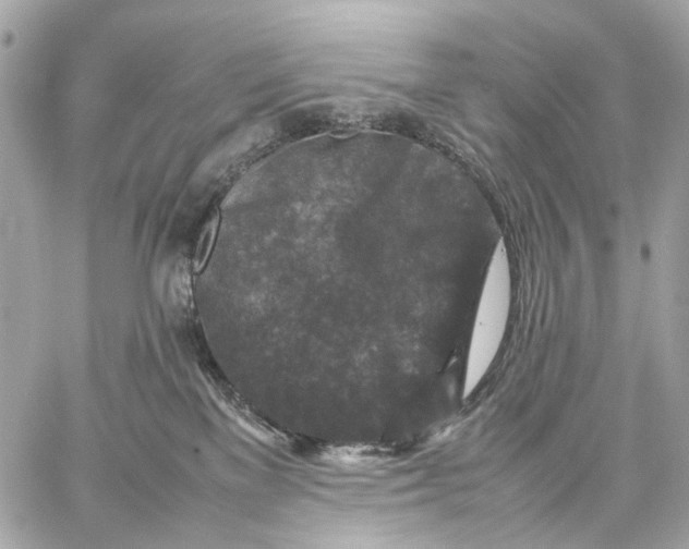 X0000059250137200511041343