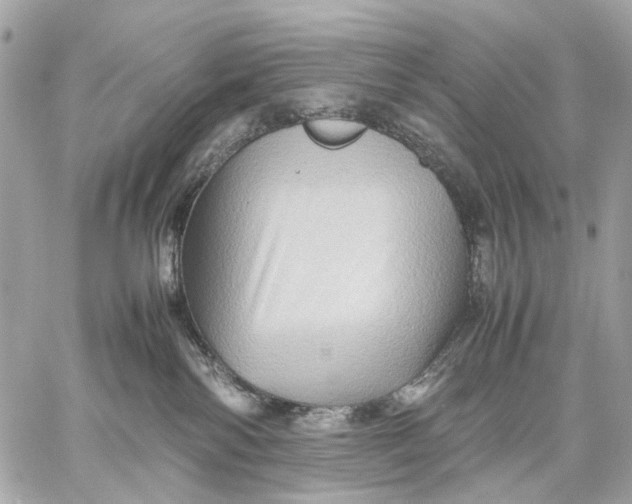 X0000059250138200511041343