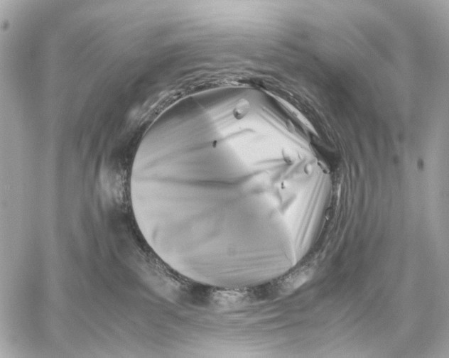 X0000059250139200511041343