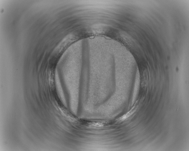 X0000059250140200511041343