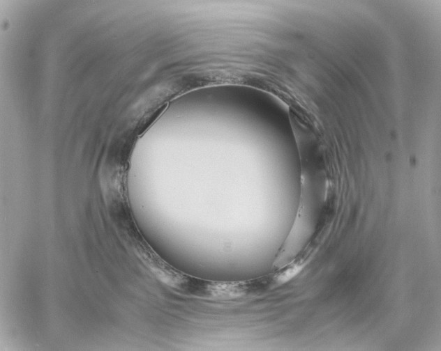 X0000059250141200511041343