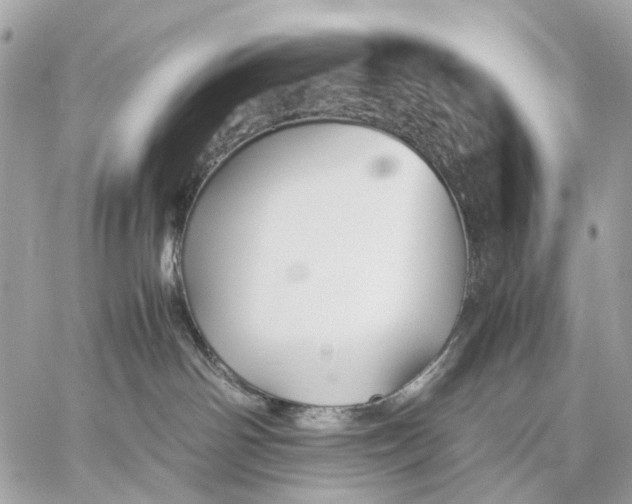 X0000059250142200511041343