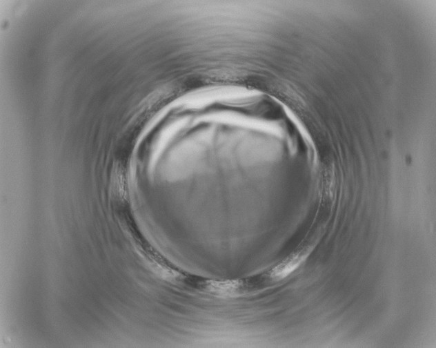 X0000059250143200511041343