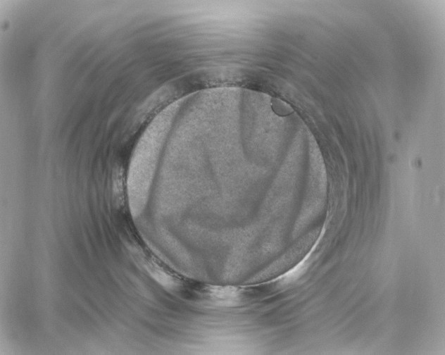 X0000059250144200511041343