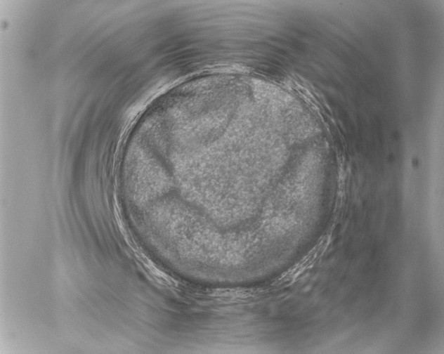 X0000059250145200511041343