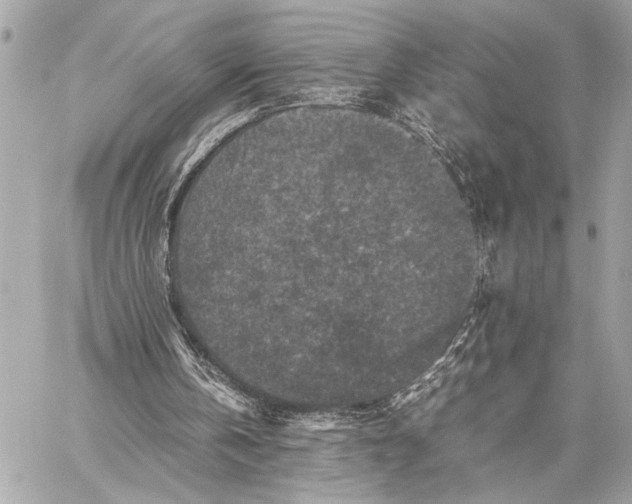 X0000059250146200511041343