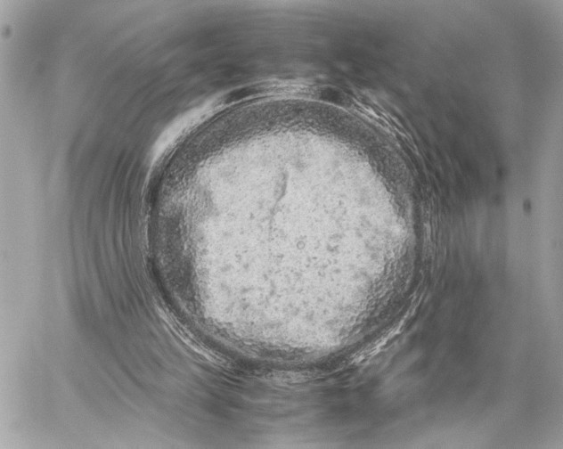 X0000059250149200511041343