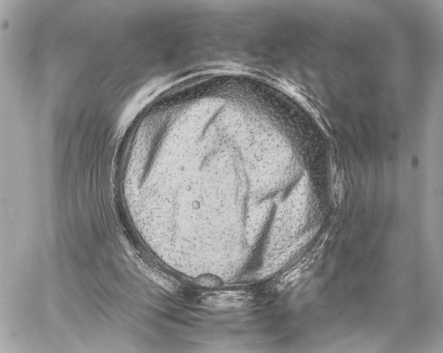 X0000059250151200511041343