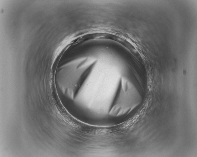 X0000059250152200511041343