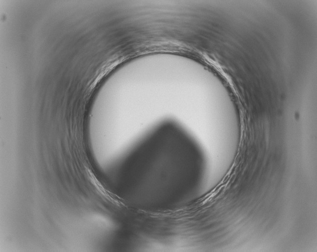 X0000059250154200511041343