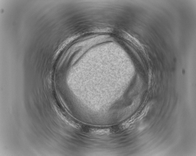 X0000059250155200511041343