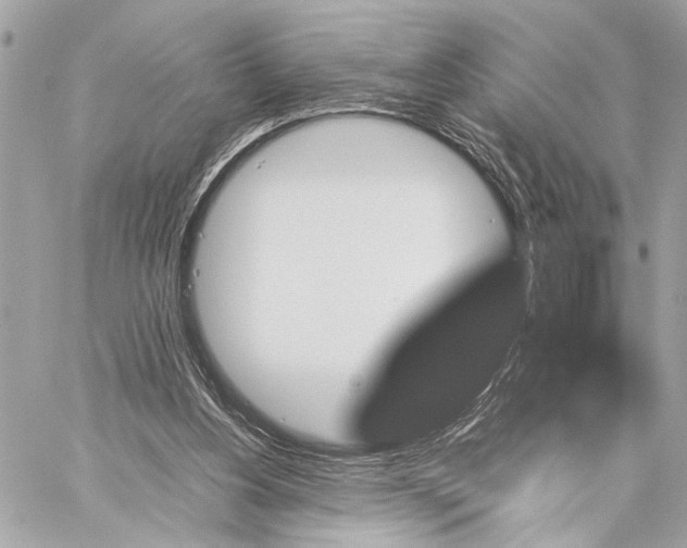 X0000059250156200511041343