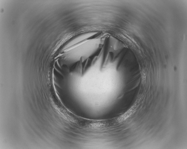 X0000059250158200511041343