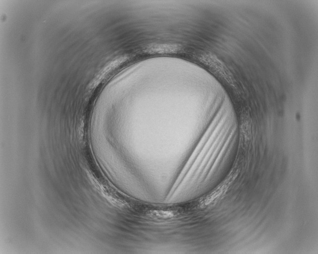 X0000059250159200511041343