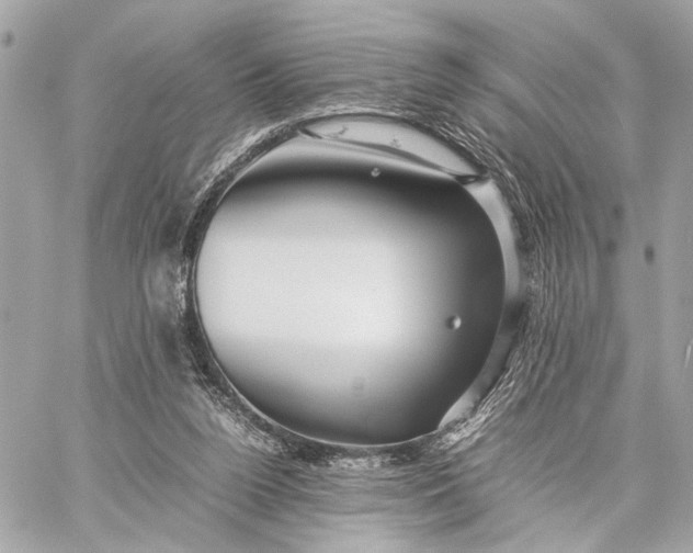 X0000059250160200511041343