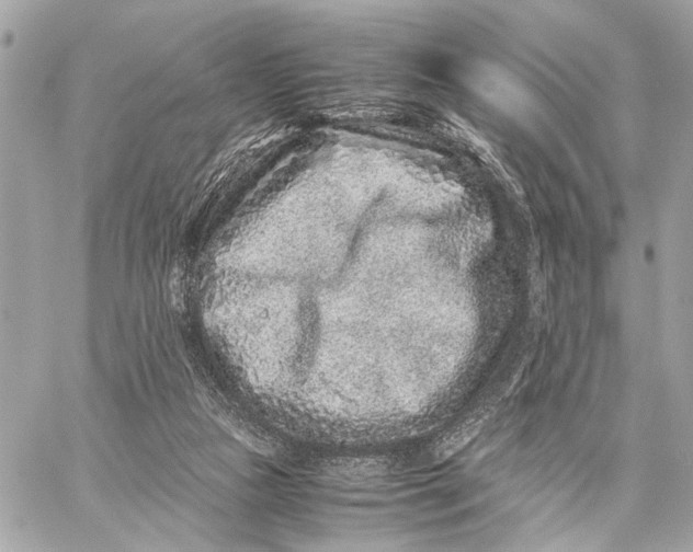 X0000059250161200511041343