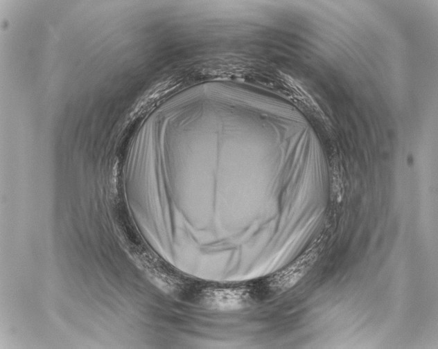 X0000059250163200511041343