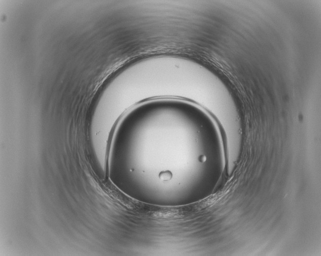 X0000059250164200511041343