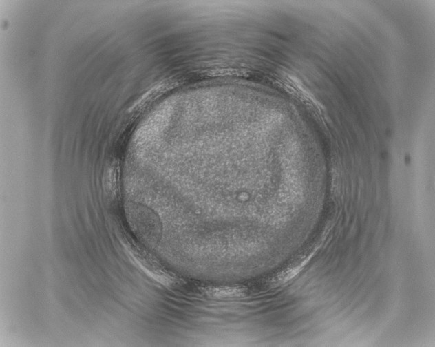 X0000059250165200511041343