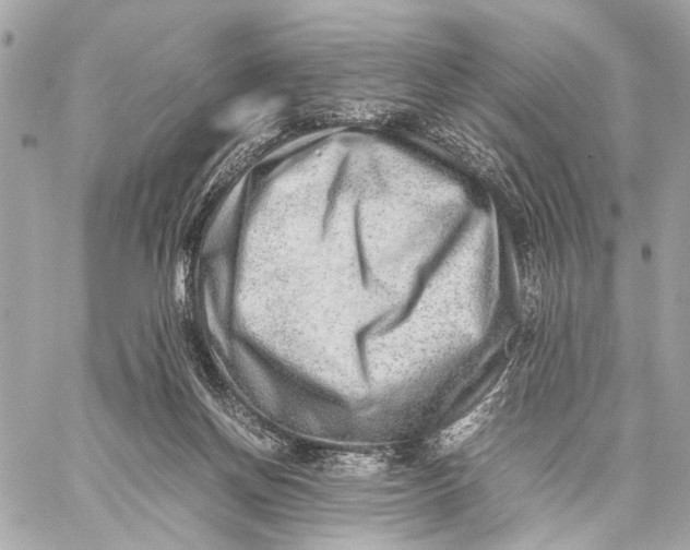 X0000059250166200511041343