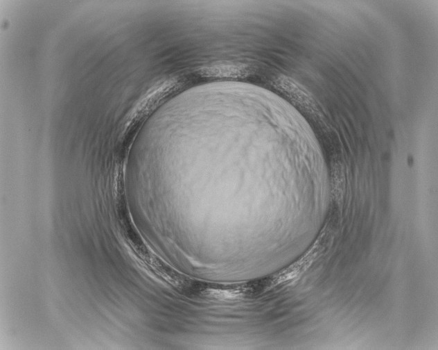 X0000059250167200511041343