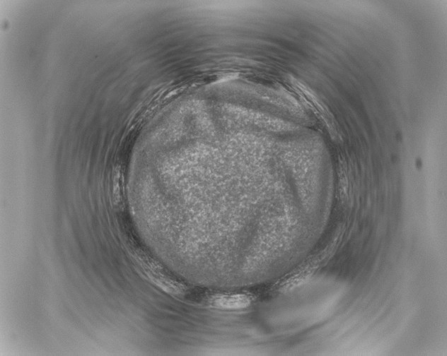 X0000059250169200511041343