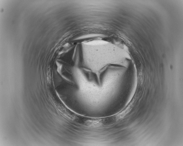 X0000059250170200511041343