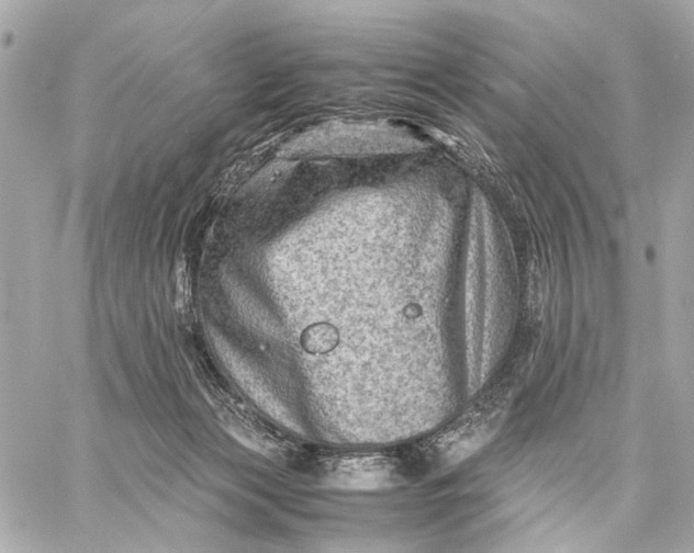 X0000059250173200511041343