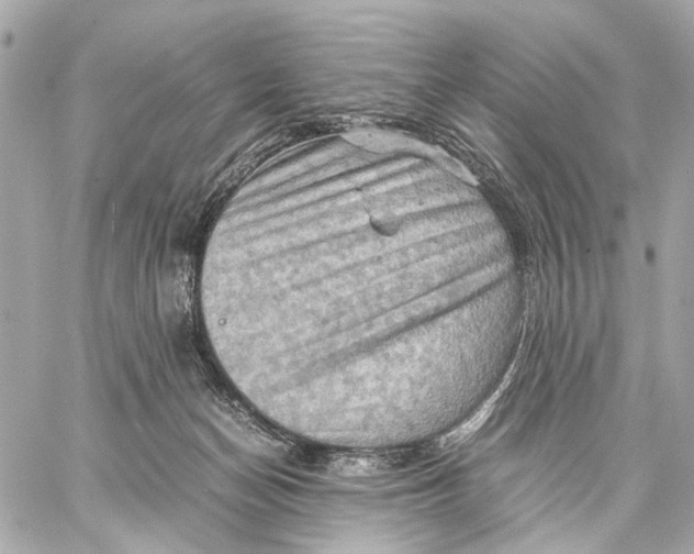 X0000059250174200511041343