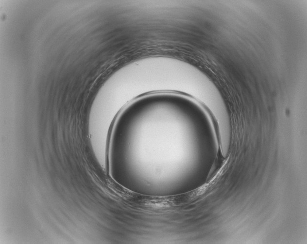 X0000059250175200511041343