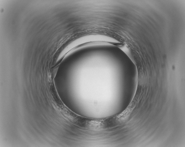 X0000059250176200511041343