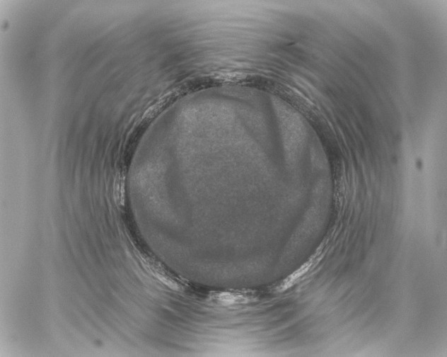 X0000059250180200511041343