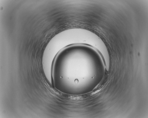 X0000059250185200511041343