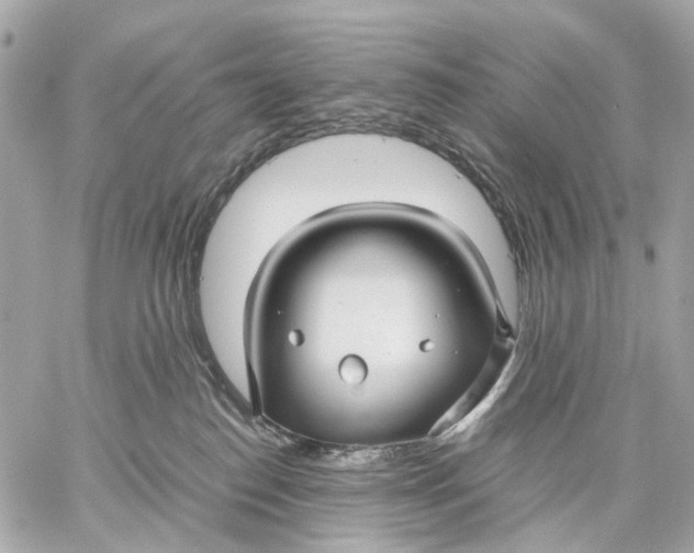 X0000059250186200511041343