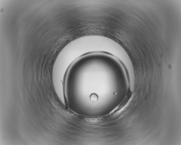 X0000059250187200511041343