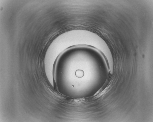 X0000059250188200511041343