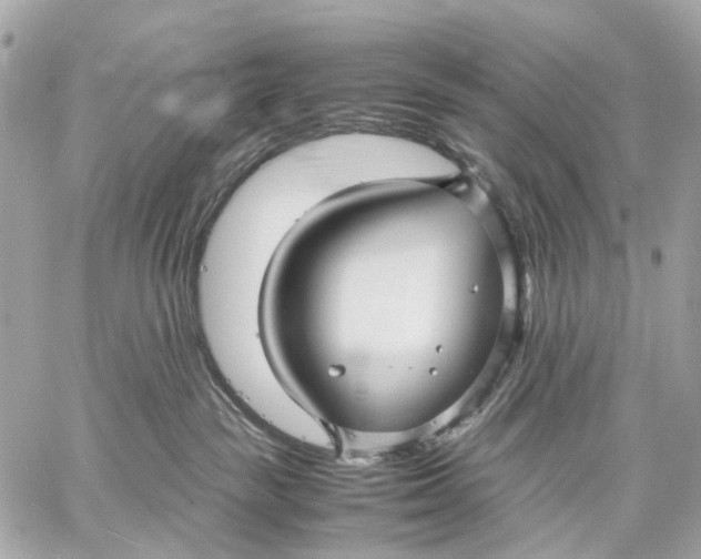 X0000059250189200511041343