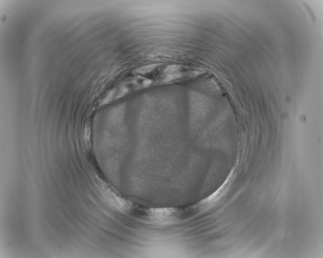 X0000059250192200511041343