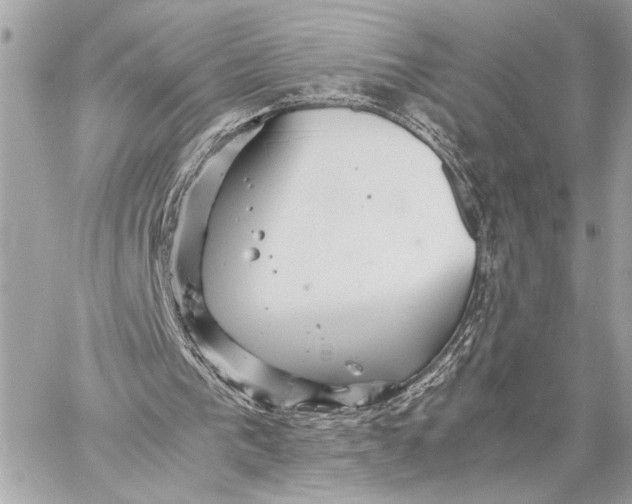 X0000059250193200511041342