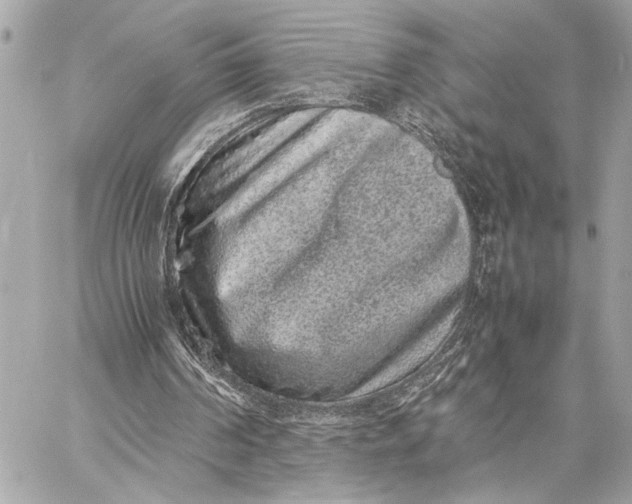 X0000059250194200511041342