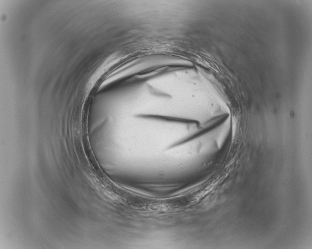 X0000059250195200511041342